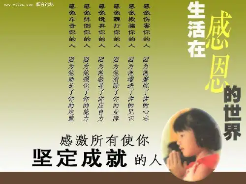 推荐-在Word中插入图片和艺术字课件 精品