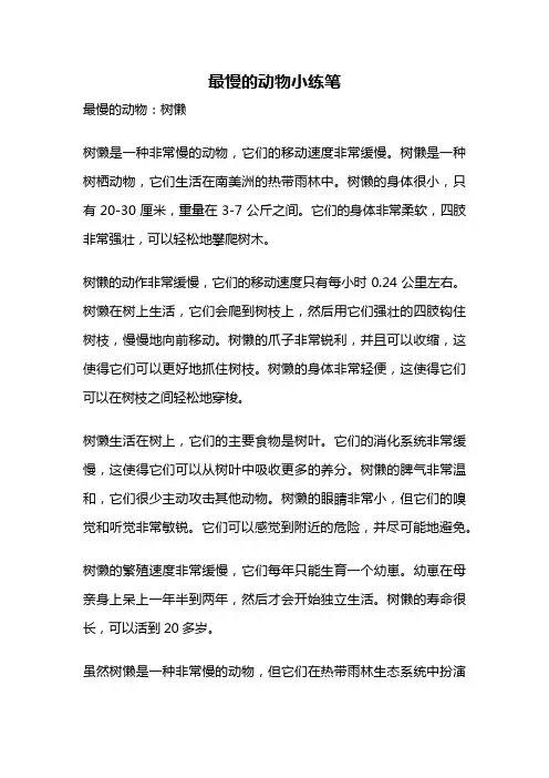 最慢的动物小练笔