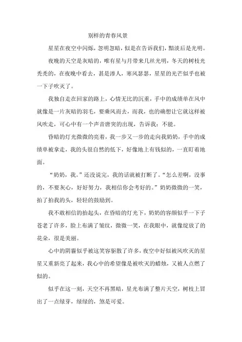 2018年山东潍坊中考满分作文集锦：别样的青春风景