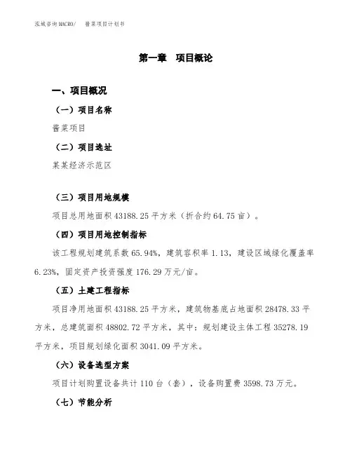 酱菜项目计划书(项目投资分析)