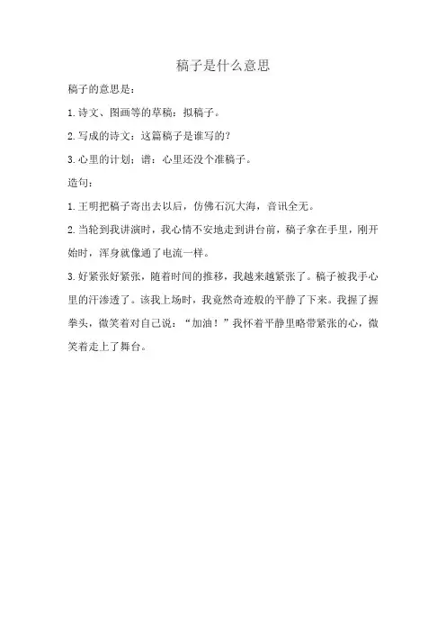 稿子是什么意思