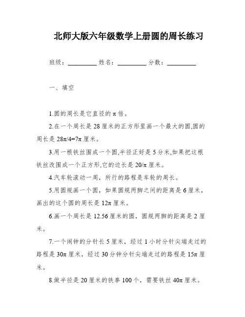 北师大版六年级数学上册圆的周长练习
