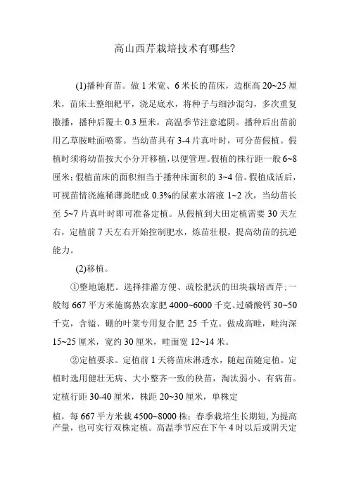 高山西芹栽培技术有哪些