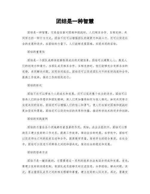 团结是一种智慧