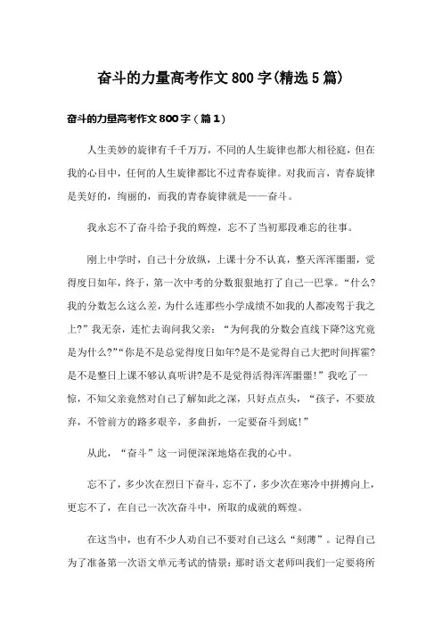 奋斗的力量高考作文800字(精选5篇)