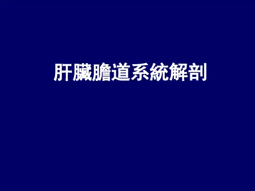 肝脏胆道系统解剖 PPT课件