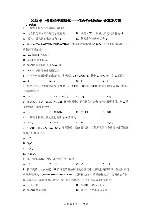 2023年中考化学专题训练——化合价代数和的计算及应用【有答案】
