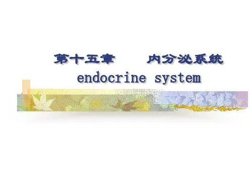  组织学与胚胎学第15章内分泌系统