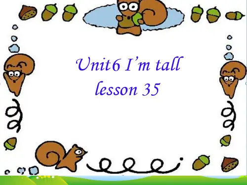精通版四年级英语上册Unit 6 I'm tall Lesson 35 课件2
