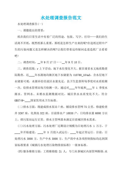 水处理调查报告范文