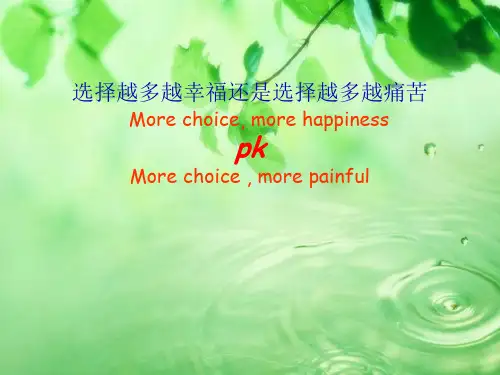 选择越多越好还是选择越少越好辩论解析