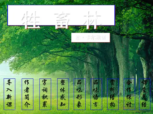 高中语文牲畜林ppt30 人教课标版精品课件