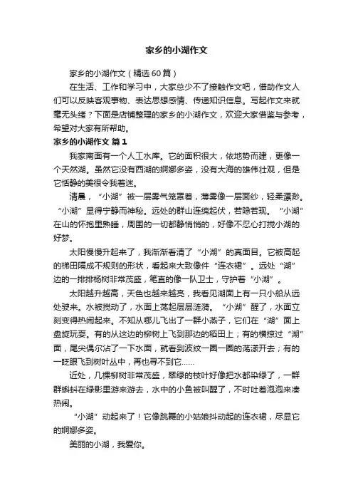 家乡的小湖作文