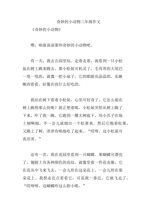 奇妙的小动物三年级作文