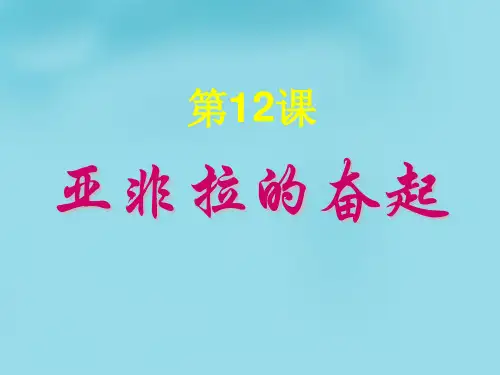 【人教版】九年级历史下册第12课《亚非拉的奋起》精品PPT课件