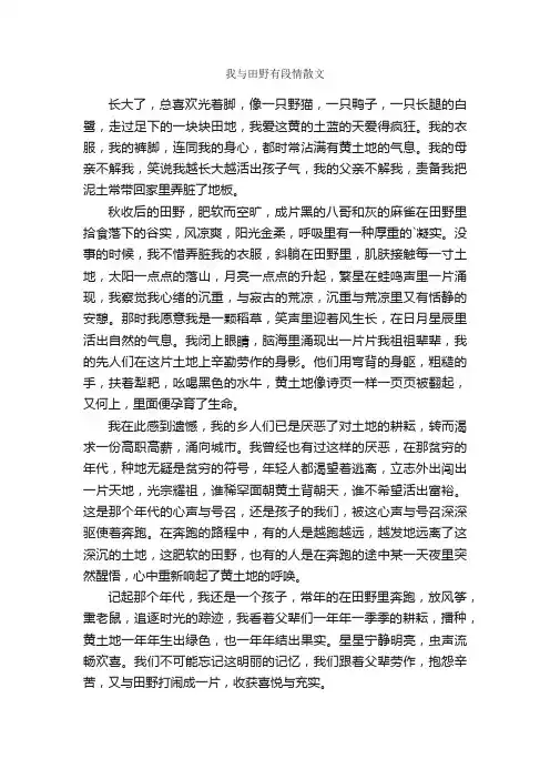 我与田野有段情散文