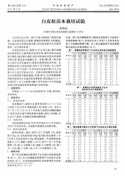 白皮松苗木栽培试验