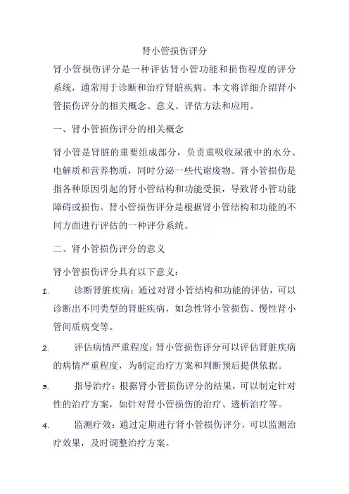 肾小管损伤评分