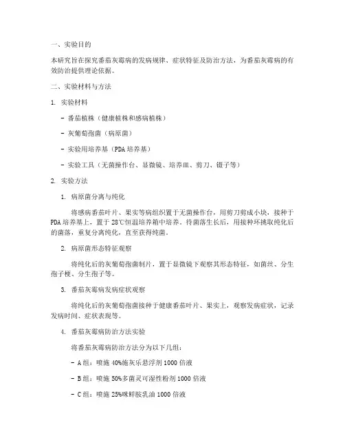 番茄灰霉病实验报告
