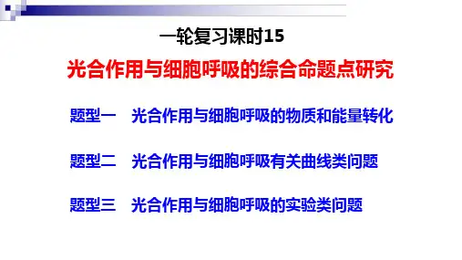 高三生物一轮复习课件光合作用与呼吸作用的综合命题点研究