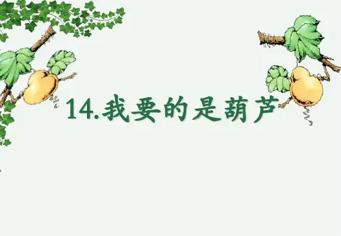 14 我要的是葫芦 课件(共14张PPT)