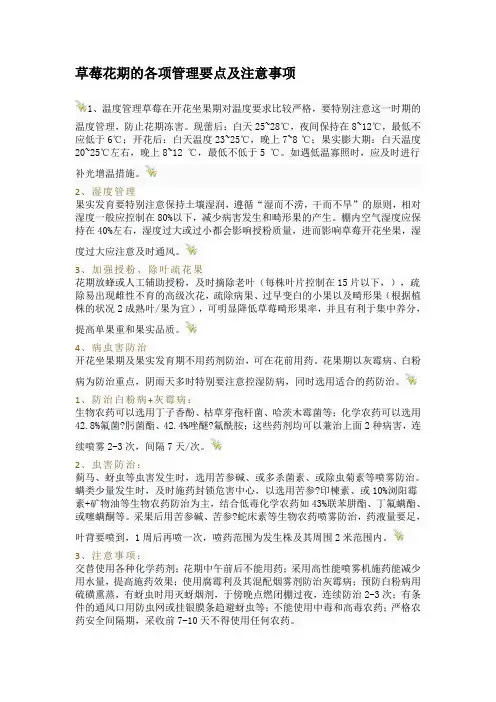 草莓花期的各项管理要点及注意事项