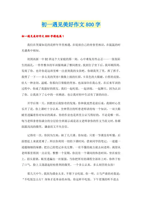 初一遇见美好作文800字