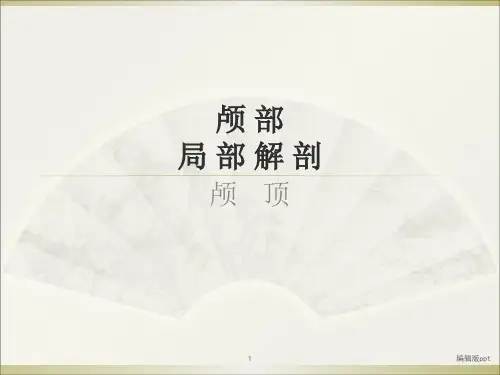颅部局部解剖PPT课件