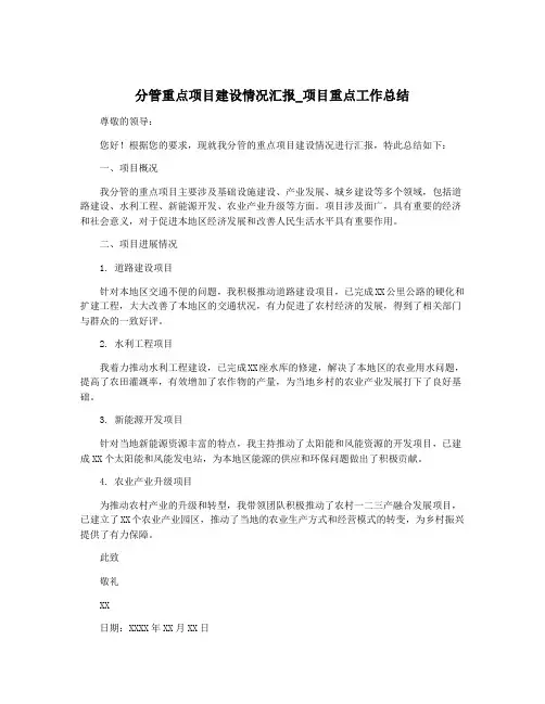 分管重点项目建设情况汇报_项目重点工作总结