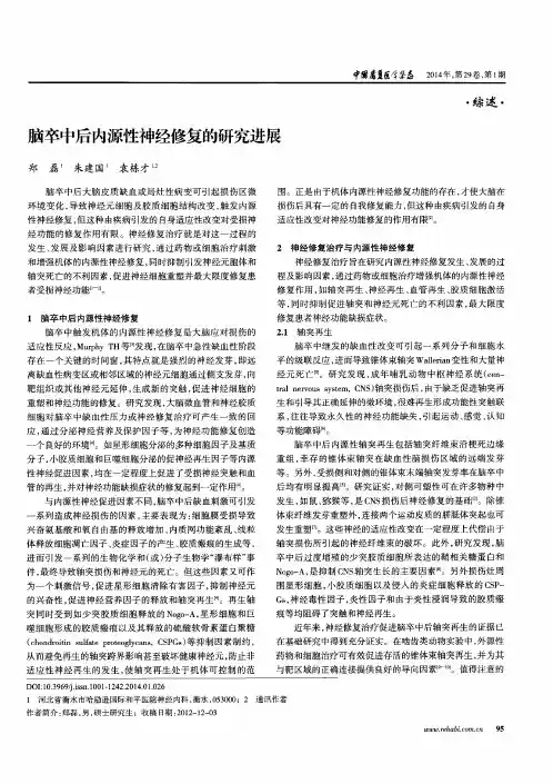 脑卒中后内源性神经修复的研究进展