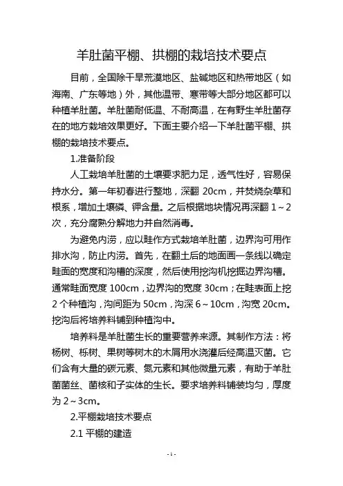 羊肚菌平棚、拱棚的栽培技术要点