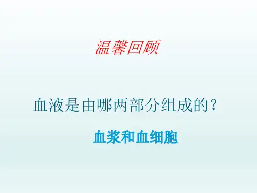 人教版初中生物七年级下册课件-4.4.2 血流的管道——血管1