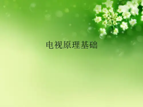电视原理基础优秀课件