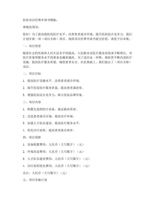 医院项目经费申请书模板