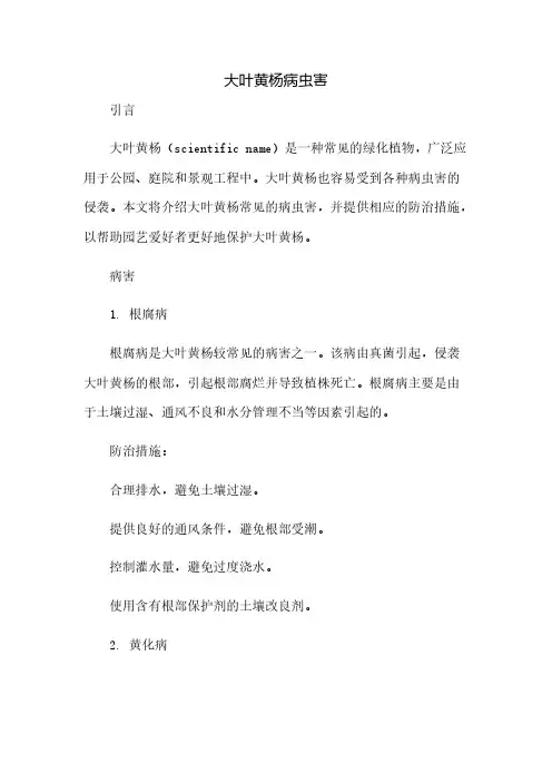 大叶黄杨病虫害
