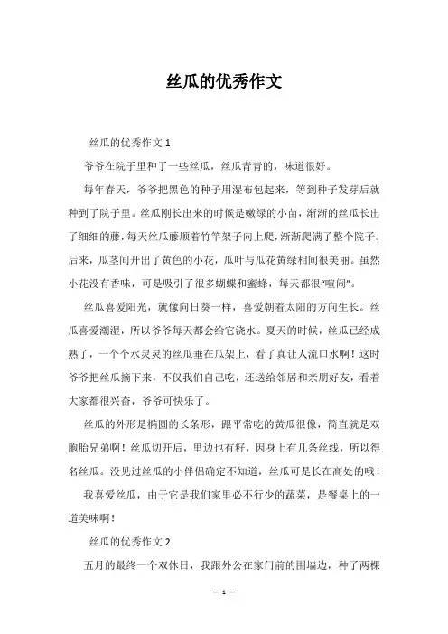 丝瓜的优秀作文