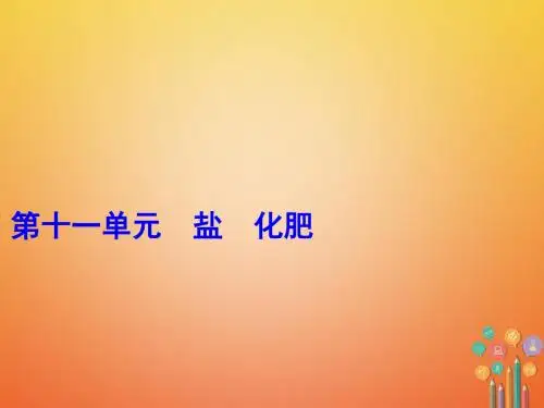 2018人教版中考化学一轮讲练第11单元盐、化肥(2份)(优秀版)