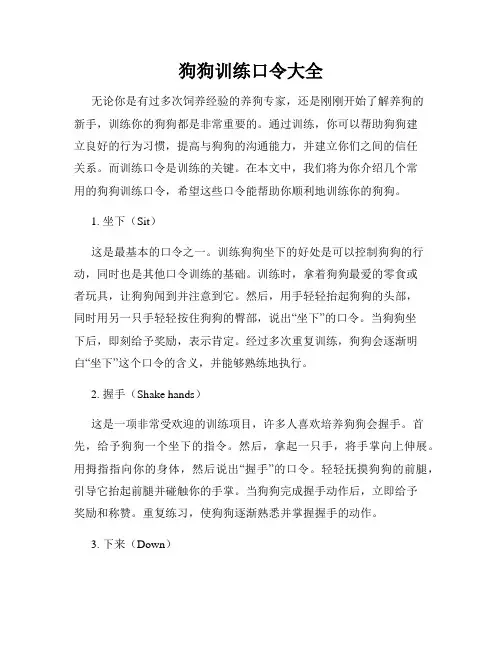 狗狗训练口令大全
