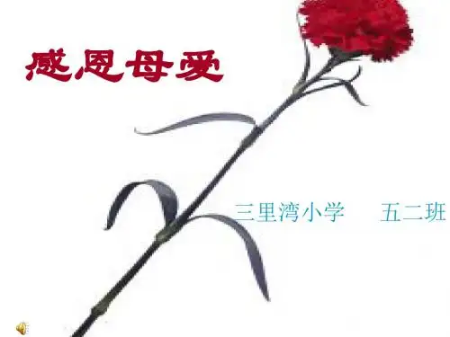 妈妈我爱您主题班会ppt