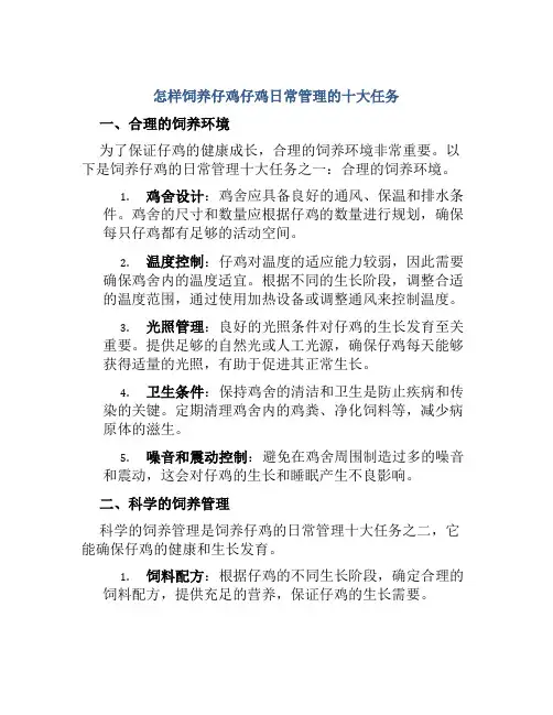 怎样饲养仔鸡仔鸡日常管理的十大任务