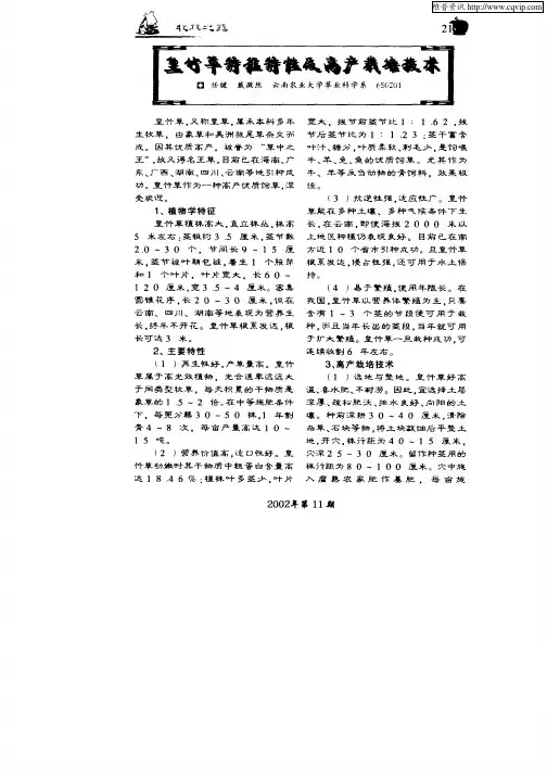 皇竹草特征特性及高产栽培技术
