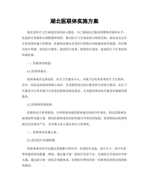 湖北医联体实施方案