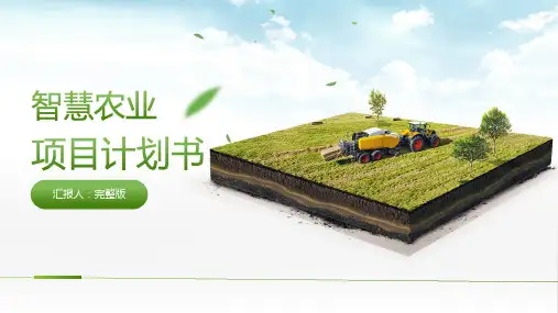 绿色简约智慧农业项目计划书PPT
