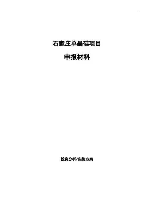 石家庄单晶硅项目申报材料