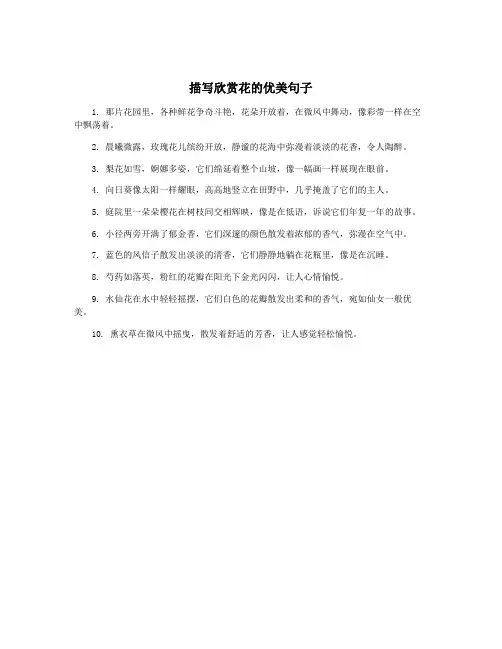 描写欣赏花的优美句子