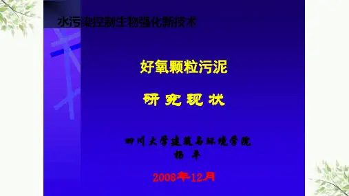 《好氧颗粒污泥》课件