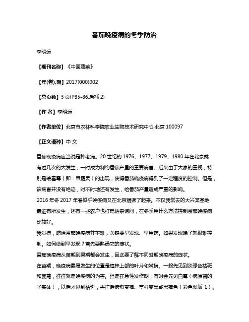 番茄晚疫病的冬季防治