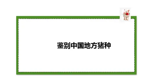鉴别中国地方猪种