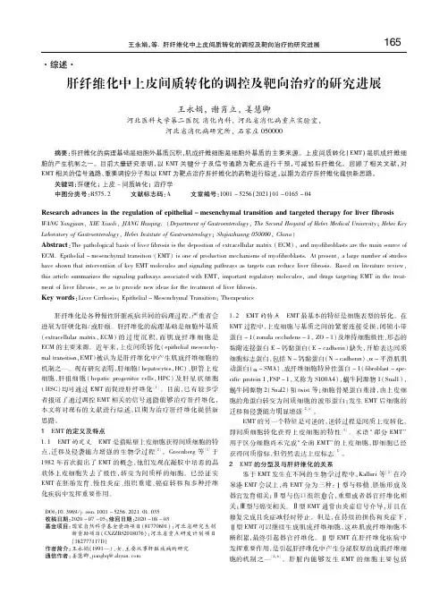 肝纤维化中上皮间质转化的调控及靶向治疗的研究进展