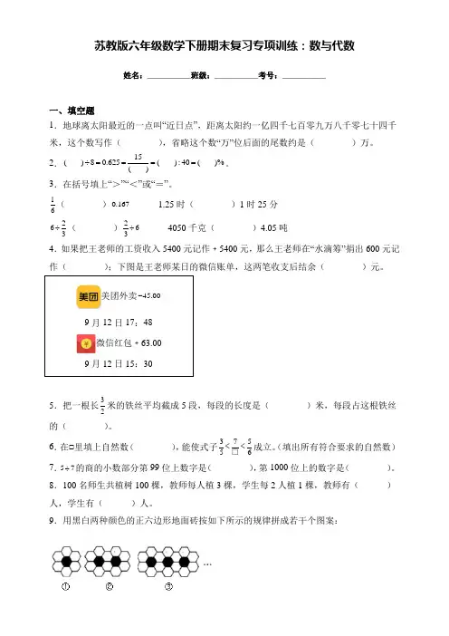 (精选)苏教版六年级数学下册期末复习专项训练：数与代数(附答案)